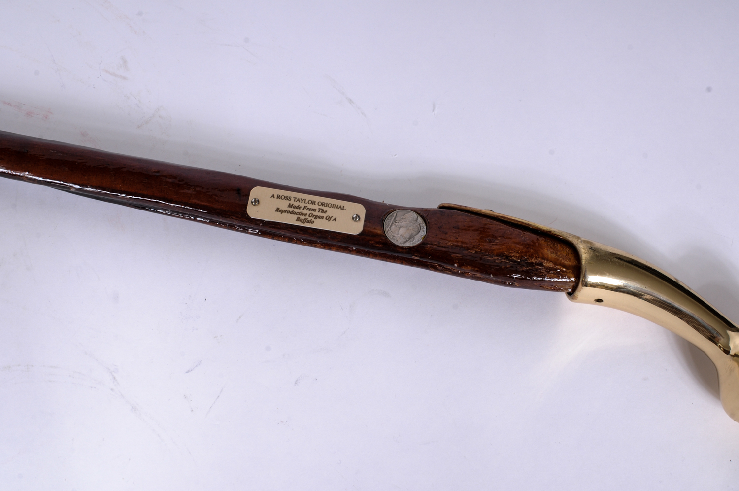Ross Taylor Original Buffalo Organ Walking Cane