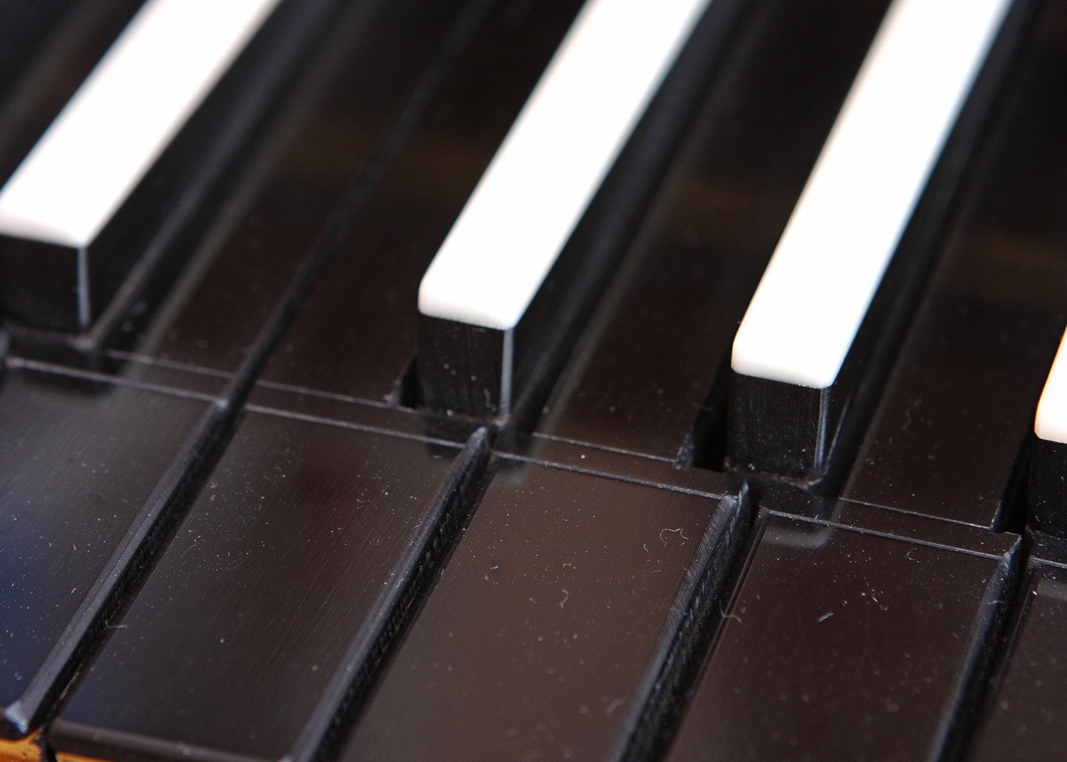 Double Manual Walnut Harpsichord by Challis Studio