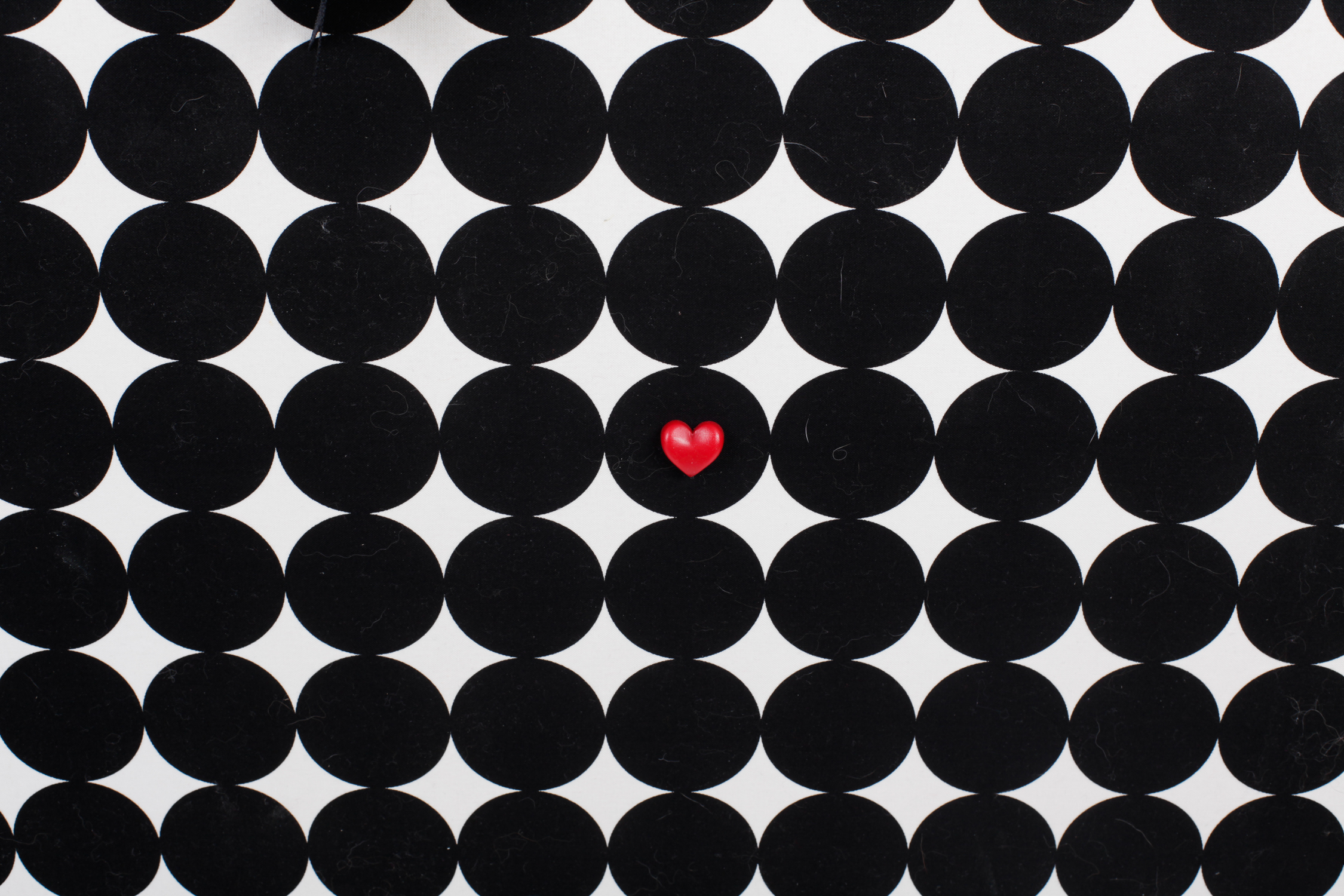 Maude Asbury Magnetic Board