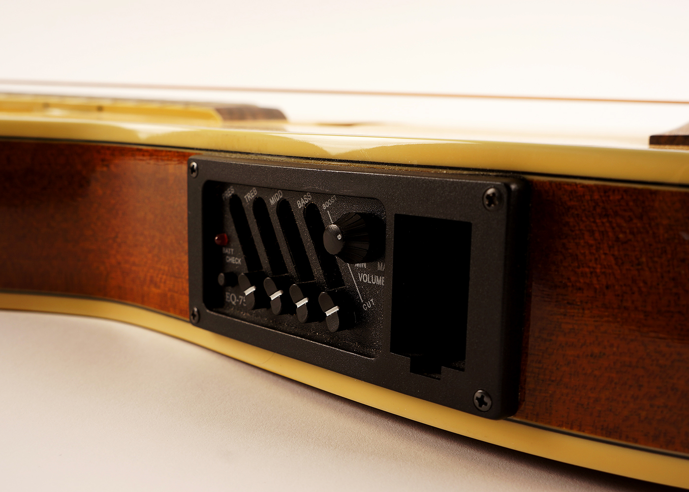 Gitano Acoustic Electric Guitar