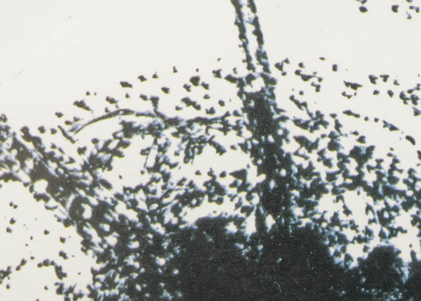 Joan Miro "La Differance" Lithograph