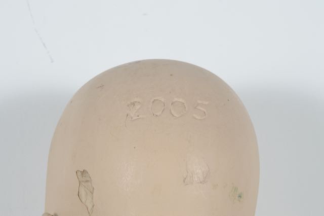 Vintage Female Body Mannequin Circa 1960s