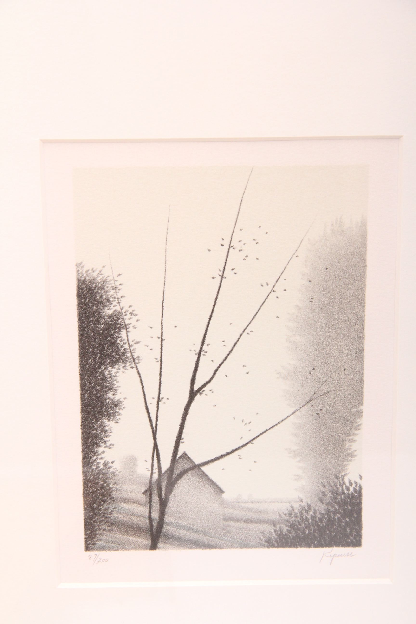 Quintet of Black and White Artworks