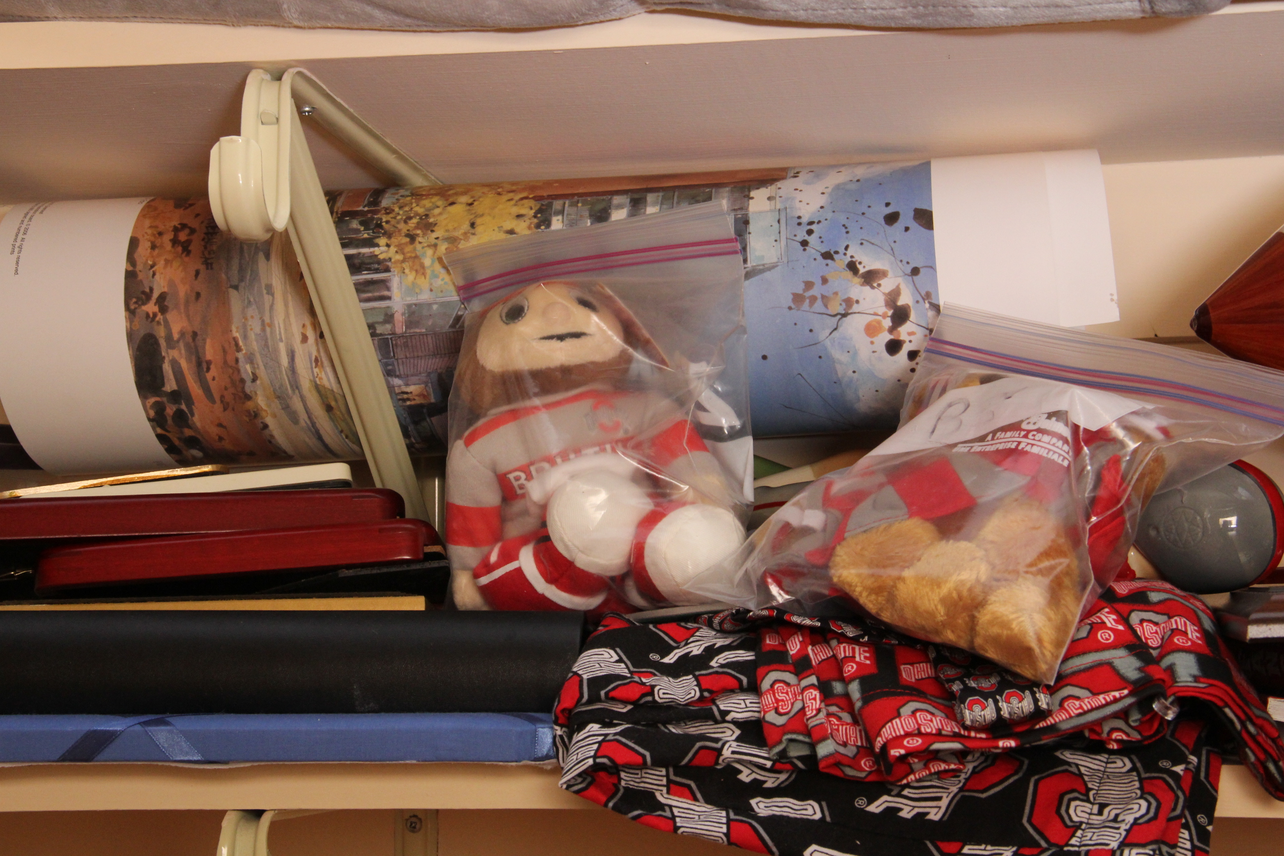 Ohio State Memorabilia Collection