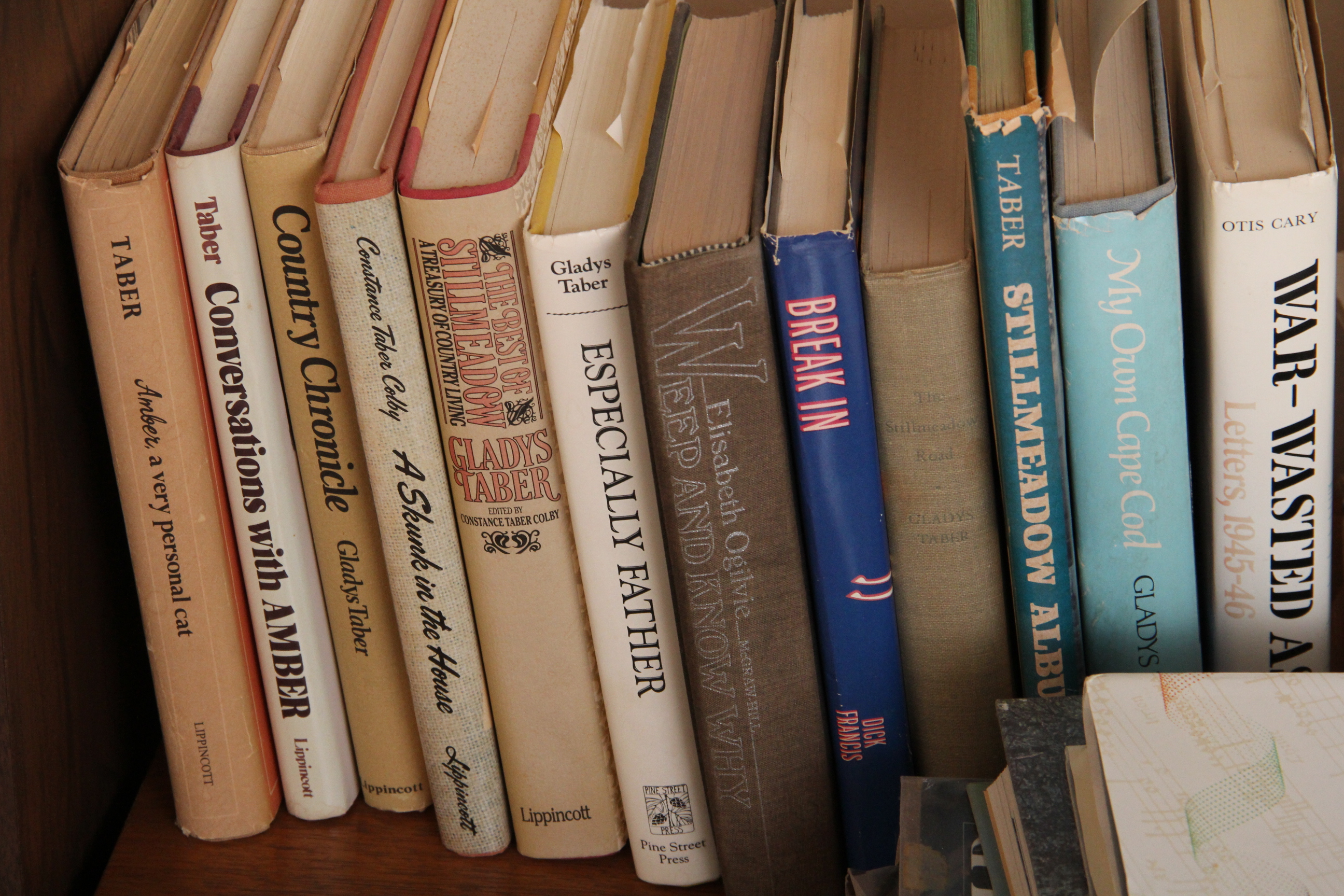 Generous Assortment of Fiction and Nonfiction