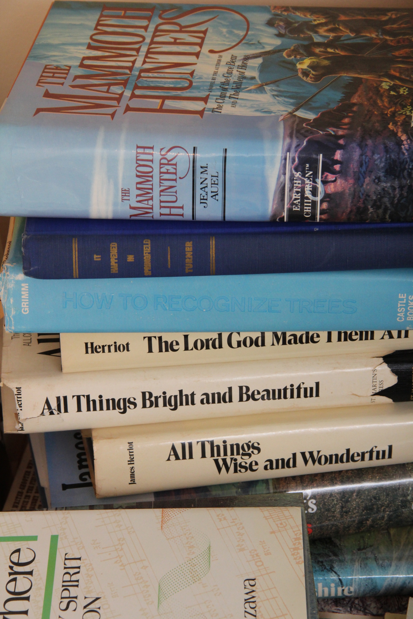 Generous Assortment of Fiction and Nonfiction