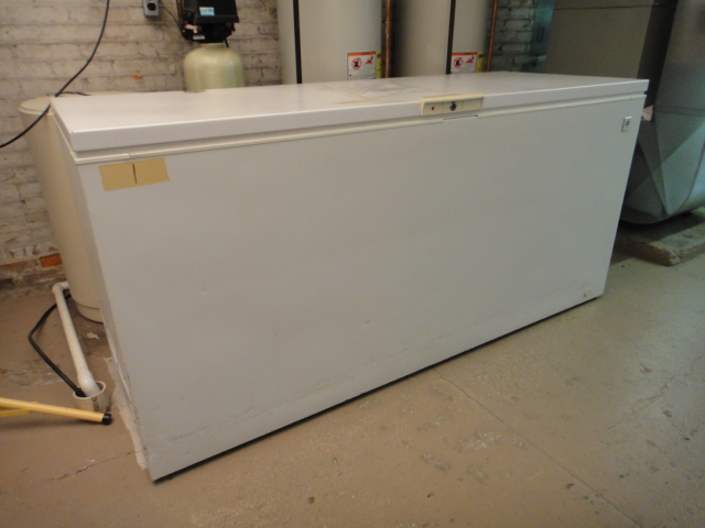 Frigidaire Chest Freezer