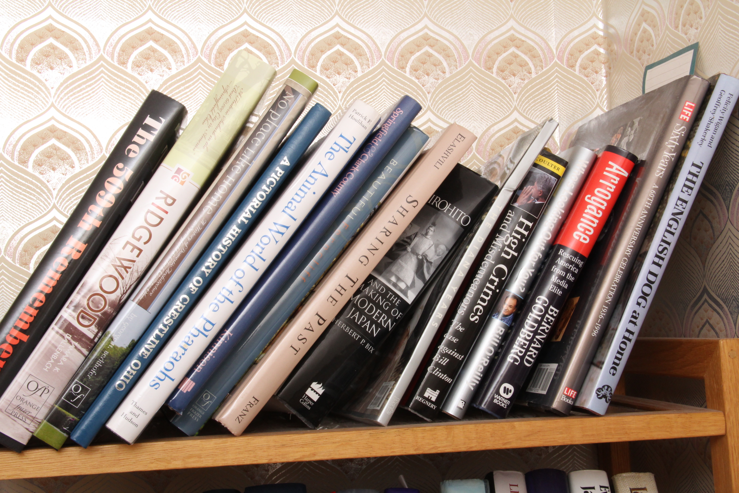 Generous Assortment of Fiction and Nonfiction