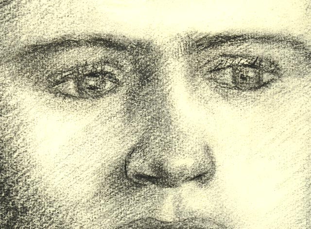 Evelyn Levy Shaw Original Charcoal Drawing "Carl"