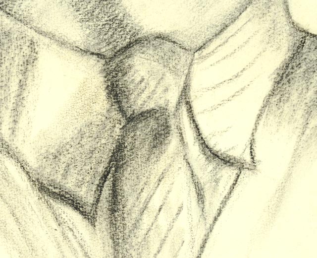 Evelyn Levy Shaw Original Charcoal Drawing "Carl"