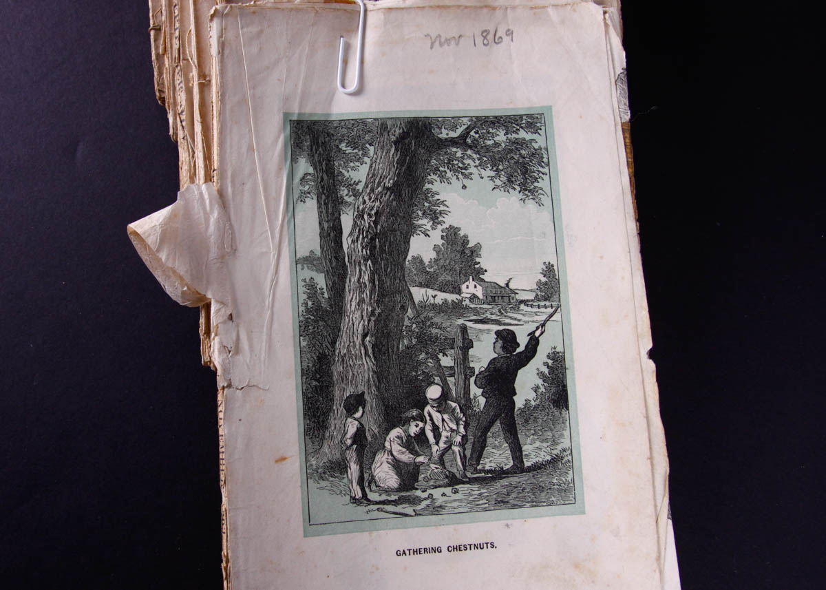 19th Century Godey's Lady's Book Magazine Issues