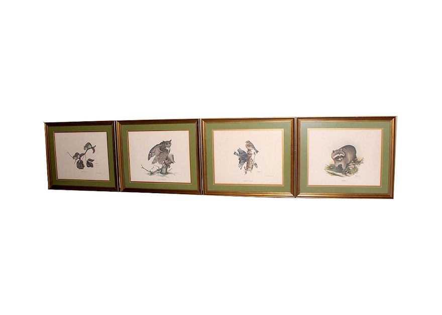 Four Framed Rick Hill Wildlife Offset Lithograph Prints