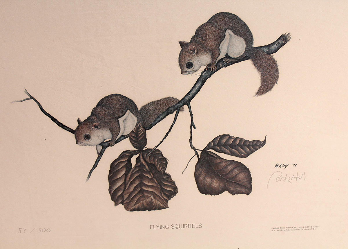 Four Framed Rick Hill Wildlife Offset Lithograph Prints