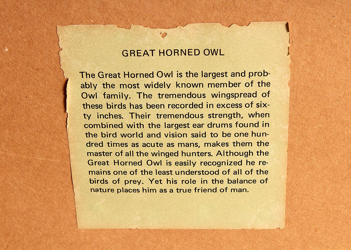 Four Framed Rick Hill Wildlife Offset Lithograph Prints