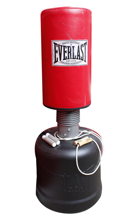 Everlast Free Standing Punching Bag