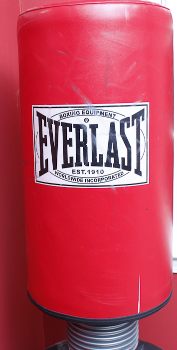 Everlast Free Standing Punching Bag