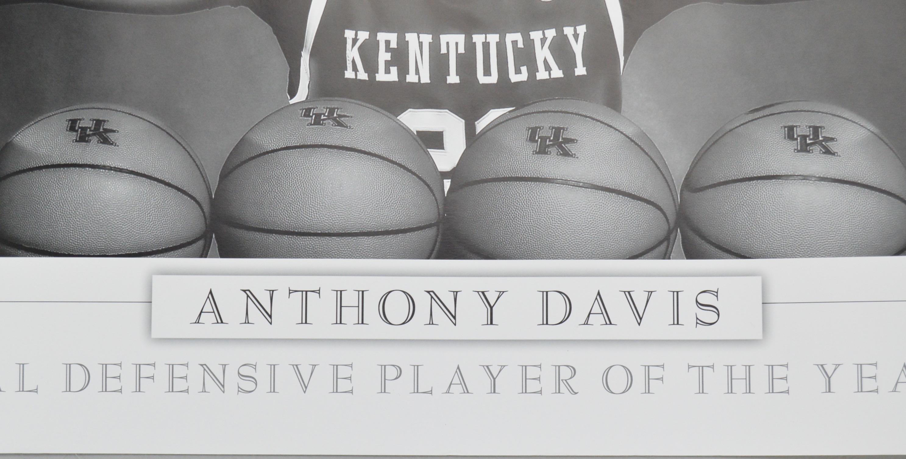 Limited Edition "Wingspan" Poster of Anthony Davis 2012