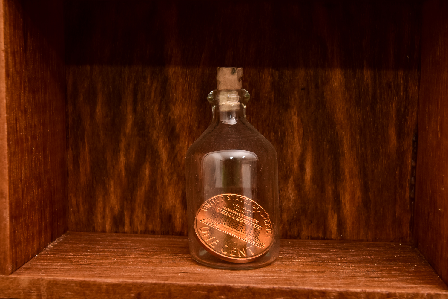 Miniatures Display Shelf