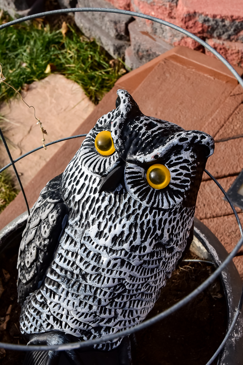 Yard Accessories Collection