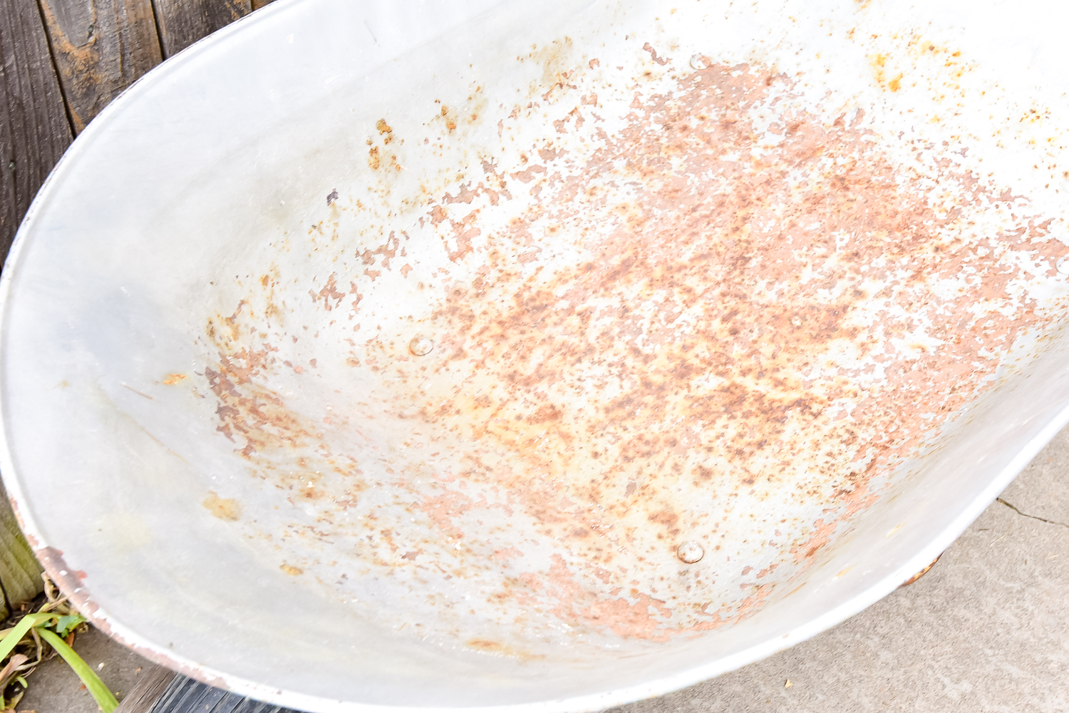 Gardening Essentials