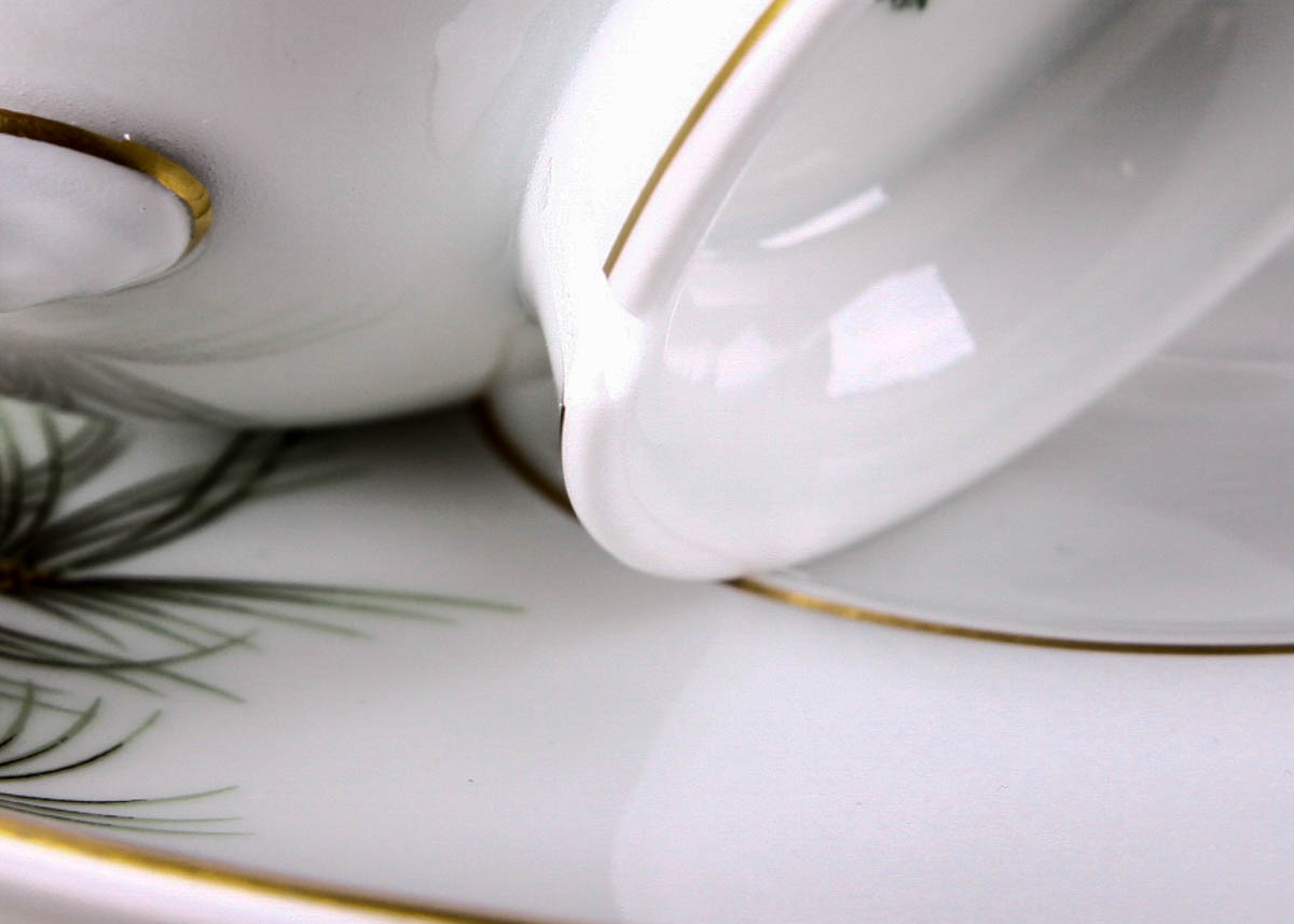 Vintage Rosenthal China Aida "Pine Needles" China Place Settings