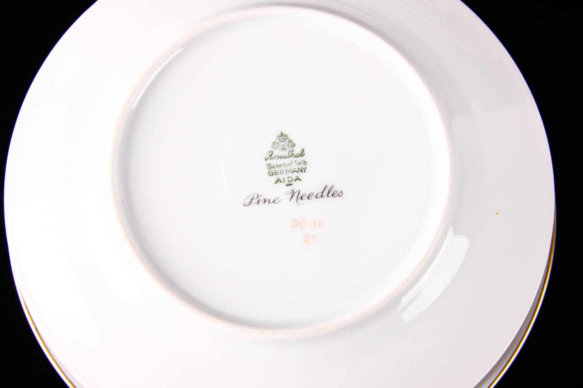 Vintage Rosenthal China Aida "Pine Needles" China Place Settings