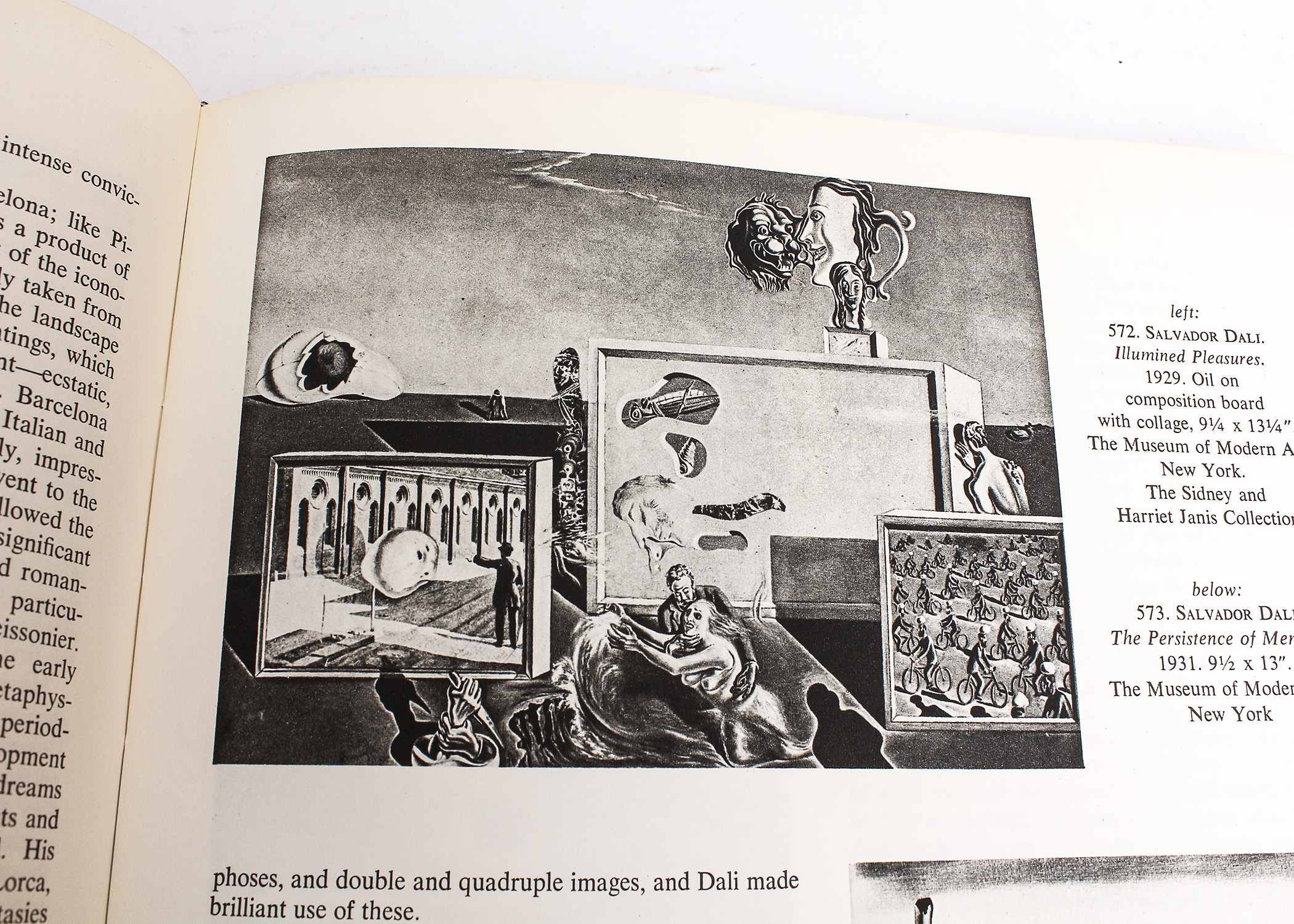 Collection of Art Books