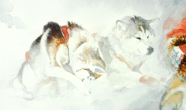Donna Gates King Print of Huskies