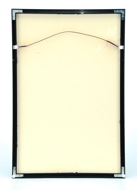 Robert Tory Peterson Smithsonian Exhibition Poster