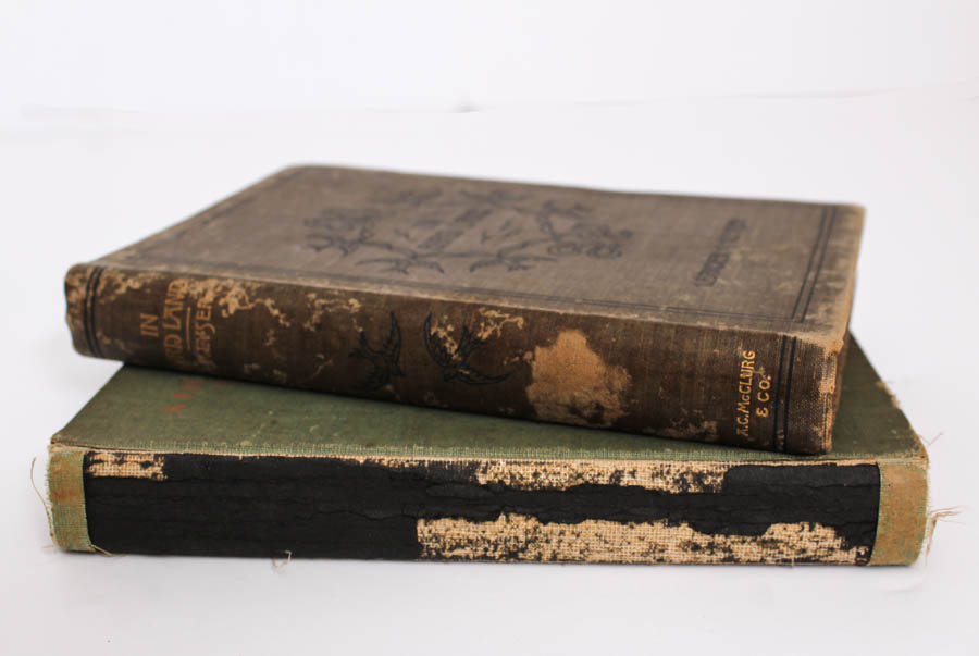 "A Field Guide to the Birds" and "In Bird Land" Book Pair