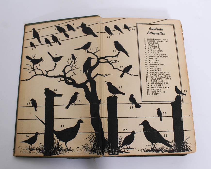 "A Field Guide to the Birds" and "In Bird Land" Book Pair