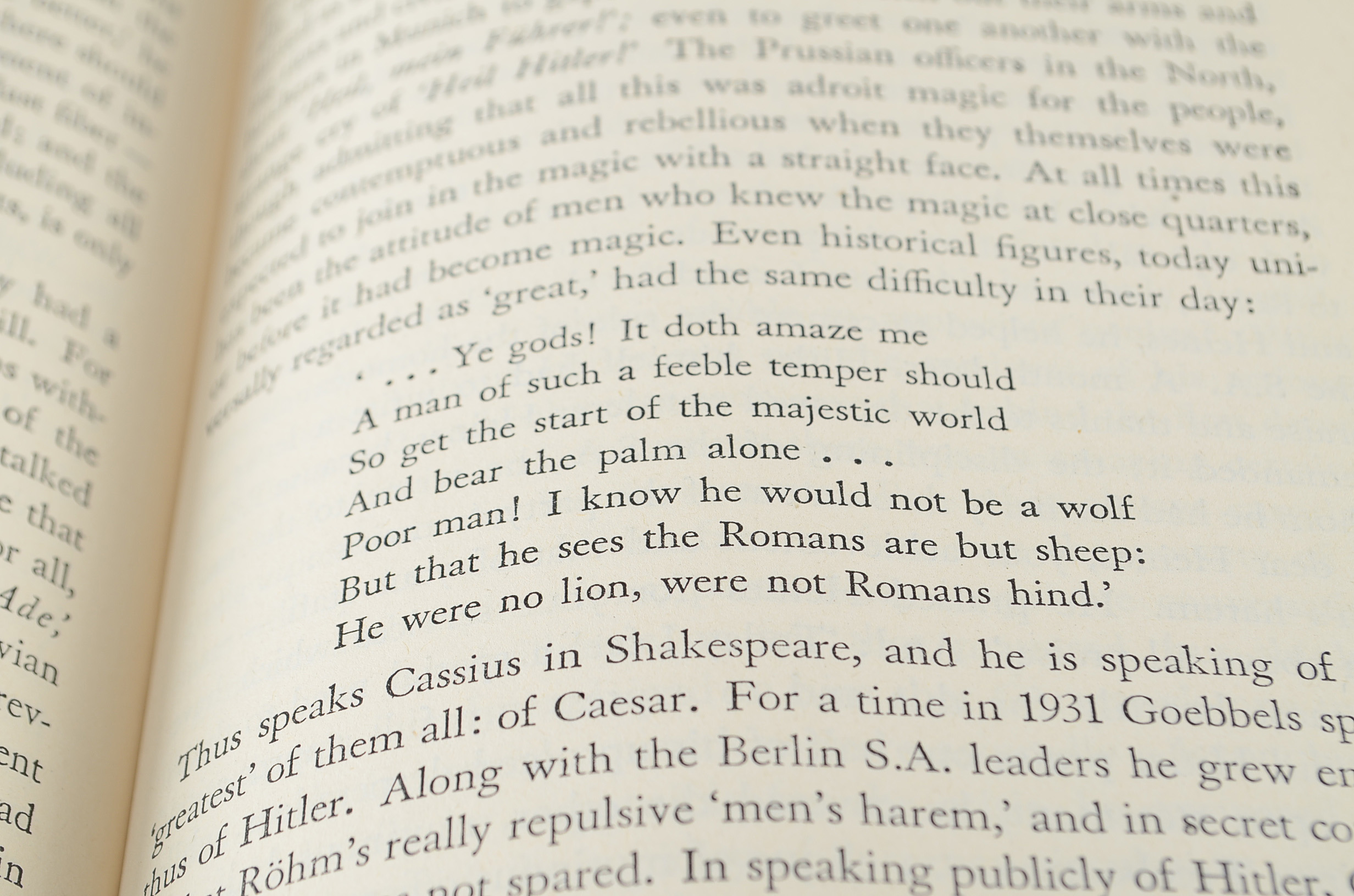Vintage "Der Fuehrer: Hitler's Rise to Power" Book