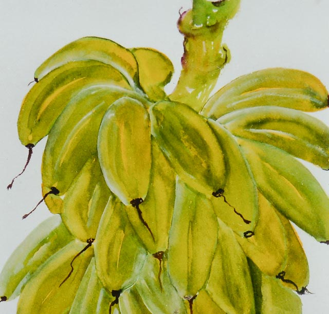 Pair of Anne W. Ray Signed Tropical Watercolor Reproductions