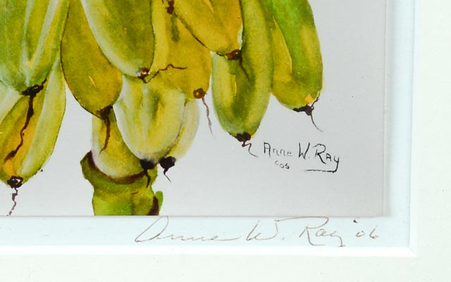 Pair of Anne W. Ray Signed Tropical Watercolor Reproductions