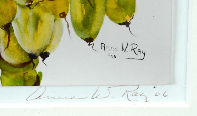 Pair of Anne W. Ray Signed Tropical Watercolor Reproductions