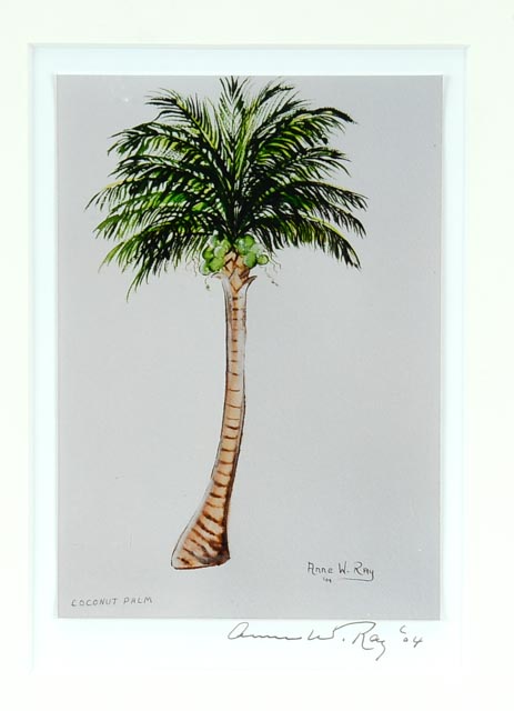 Pair of Anne W. Ray Signed Tropical Watercolor Reproductions
