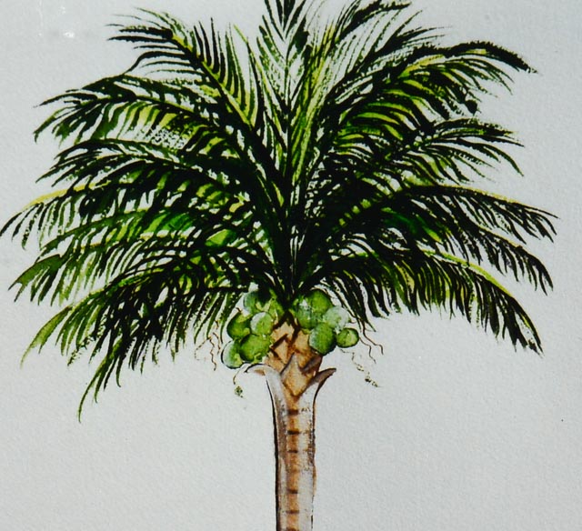 Pair of Anne W. Ray Signed Tropical Watercolor Reproductions