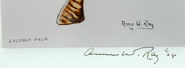 Pair of Anne W. Ray Signed Tropical Watercolor Reproductions