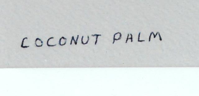 Pair of Anne W. Ray Signed Tropical Watercolor Reproductions