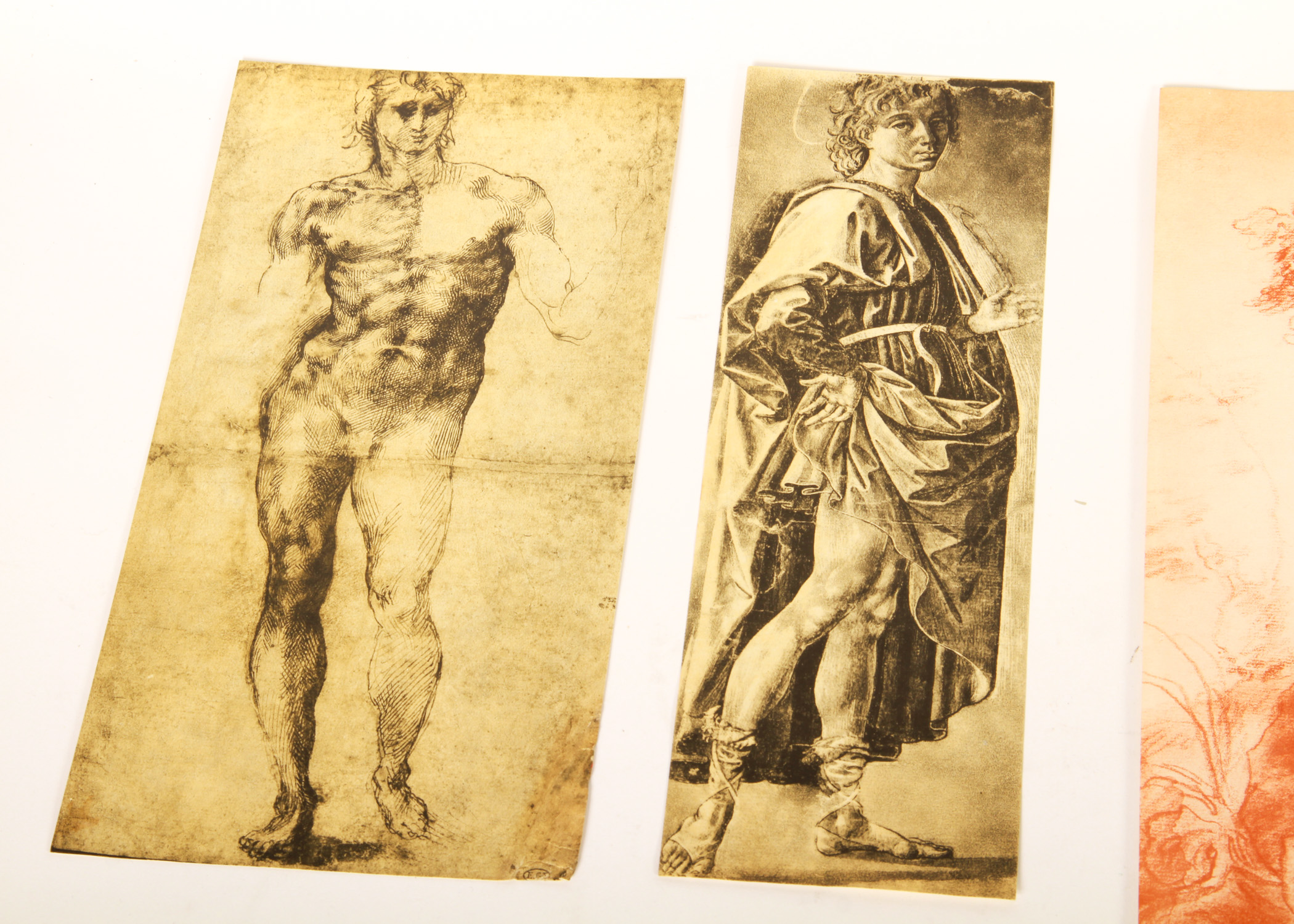 Collection of Vintage Fratelli Alinari Prints