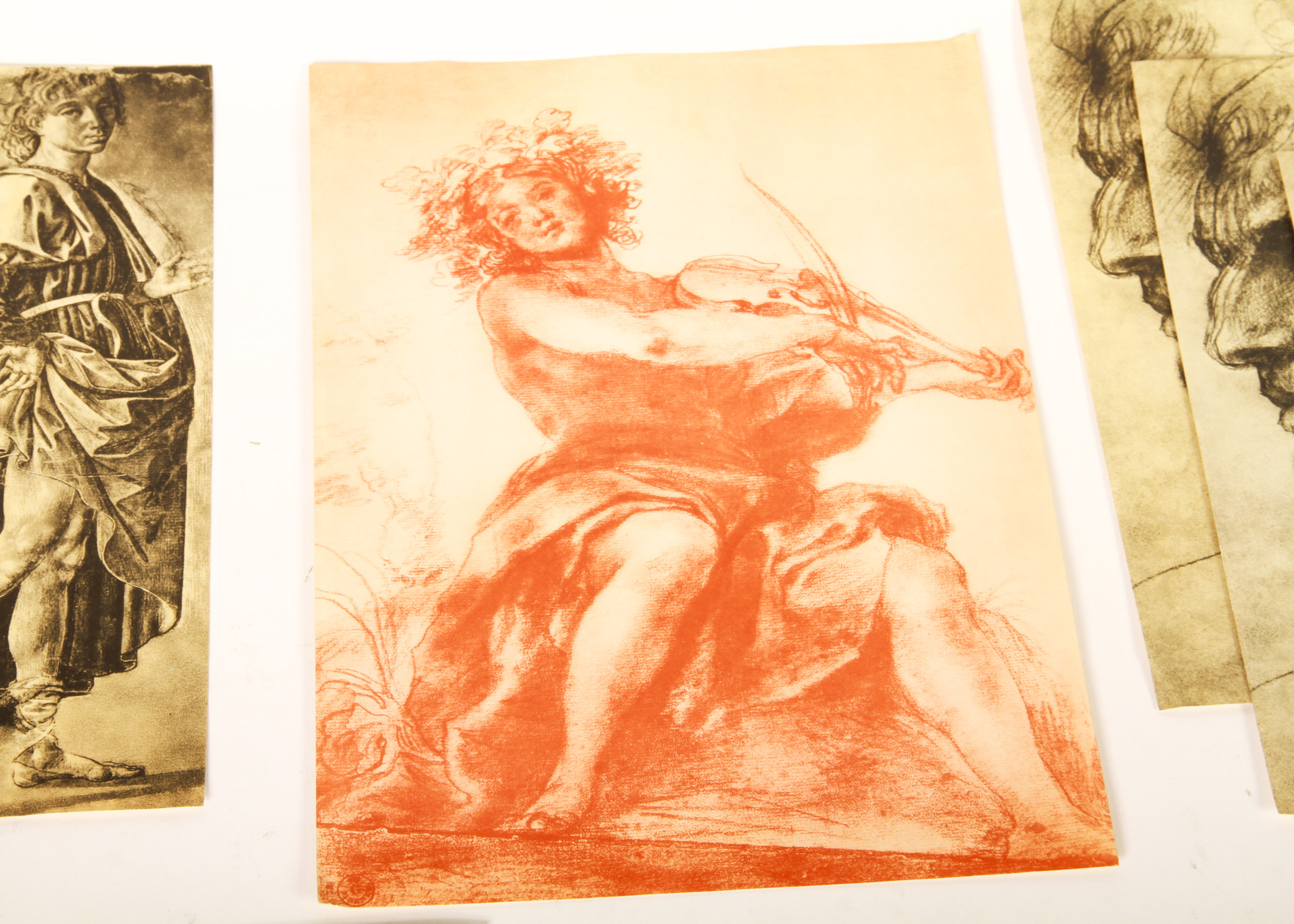 Collection of Vintage Fratelli Alinari Prints