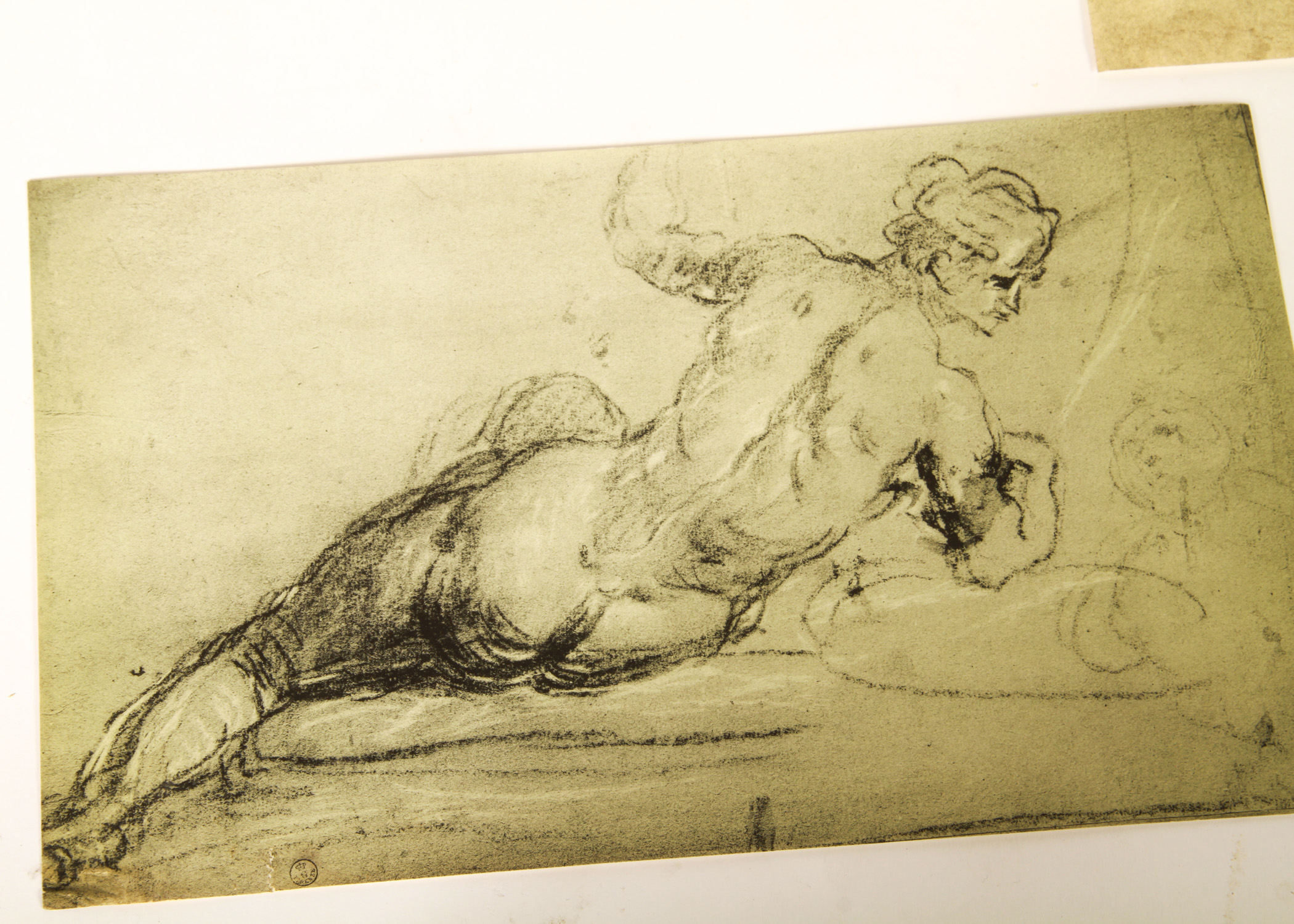 Collection of Vintage Fratelli Alinari Prints