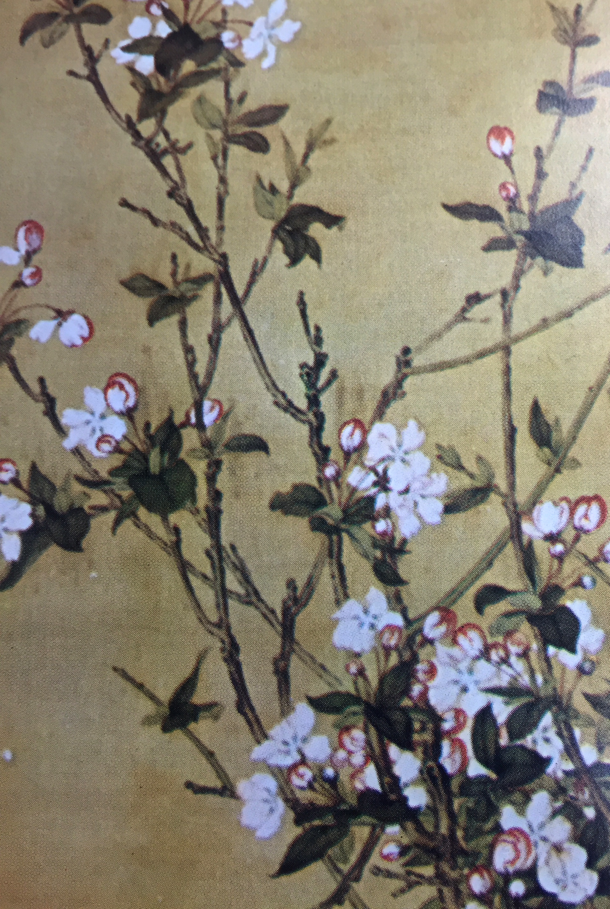 "Pheasants Among Rocks and Flowers" Poster Print