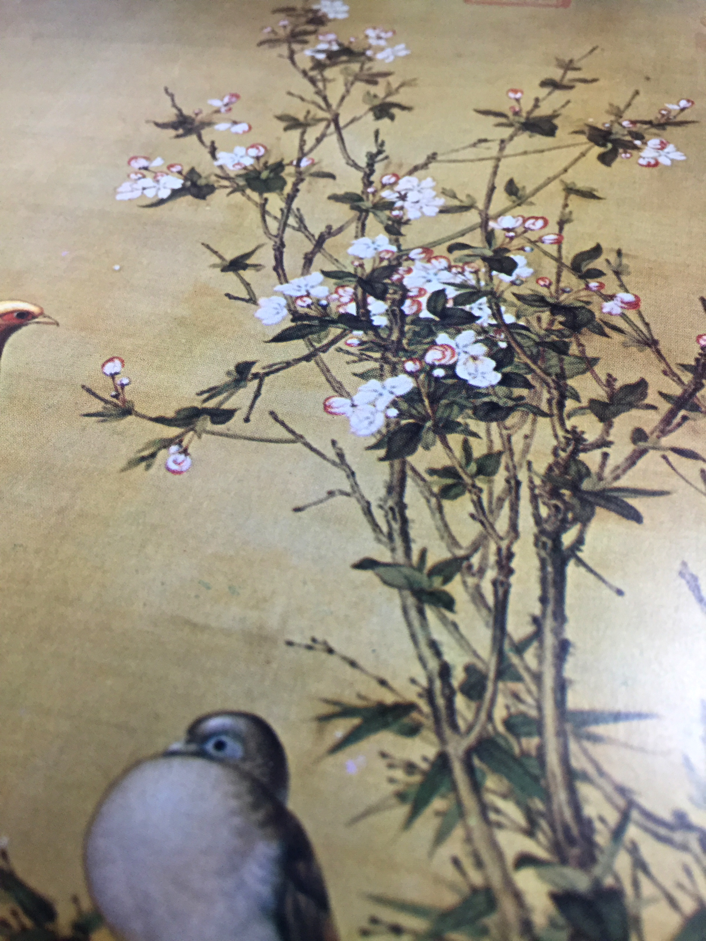 "Pheasants Among Rocks and Flowers" Poster Print