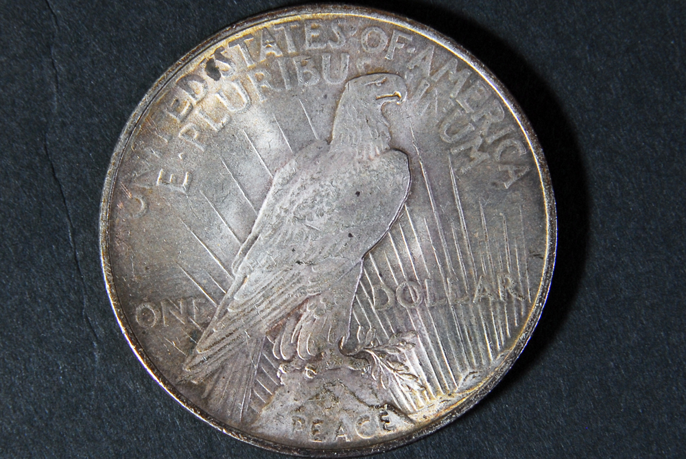 Assortment of U.S. One Dollar Coins