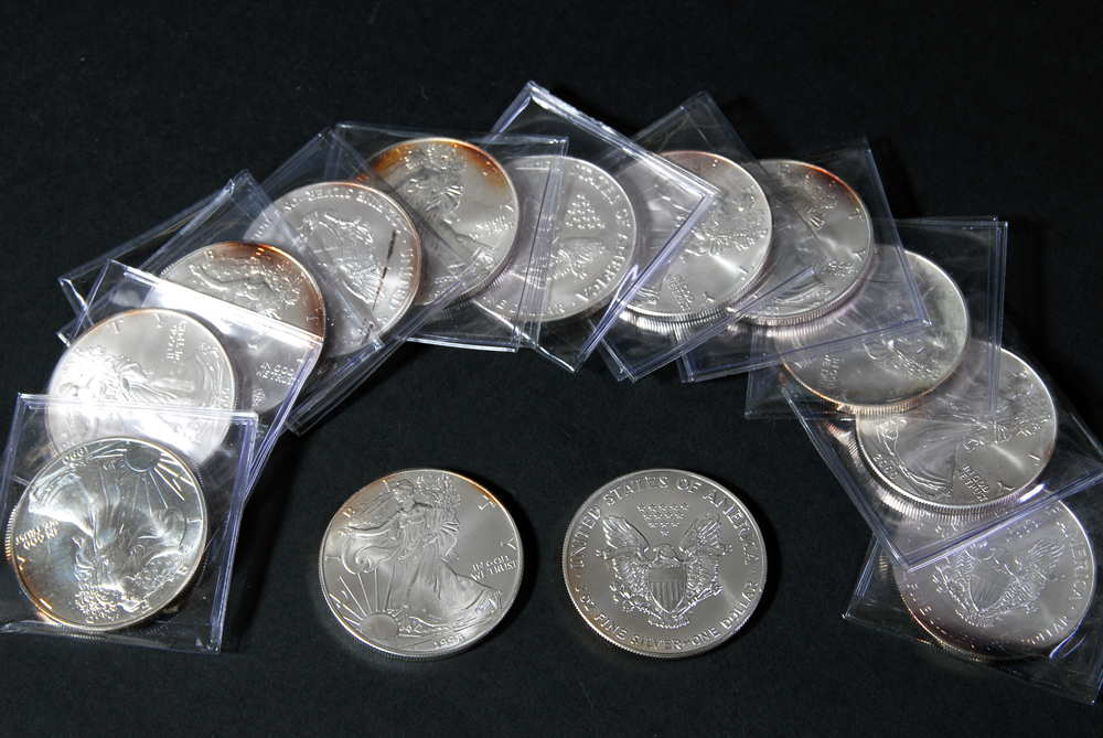 Set of Thirteen Silver American Eagle Dollar Coins