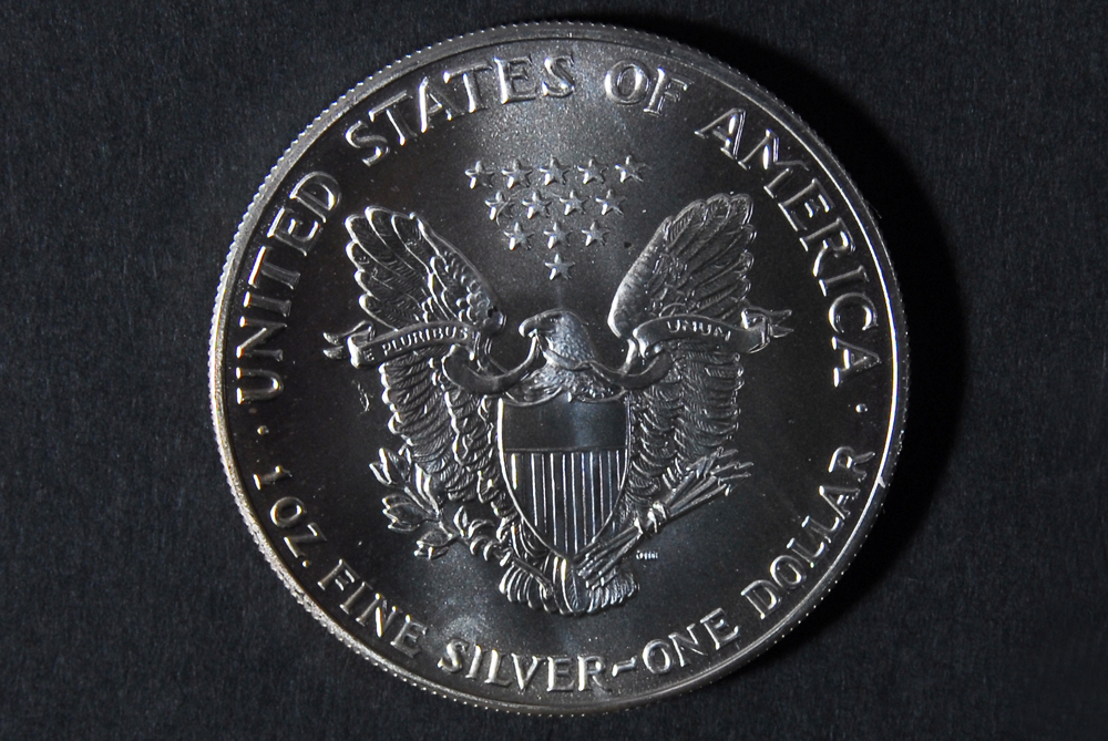 Set of Thirteen Silver American Eagle Dollar Coins