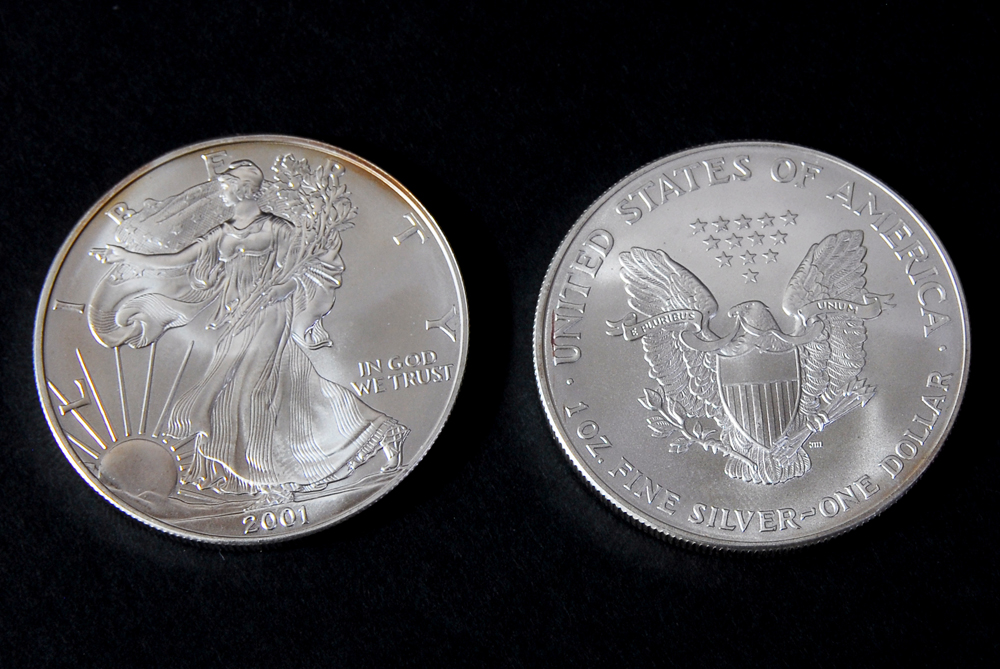Set of Ten Silver American Eagle Dollar Coins