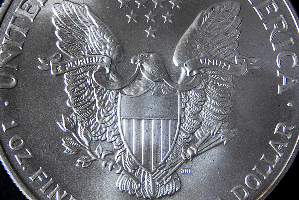 Set of Ten Silver American Eagle Dollar Coins