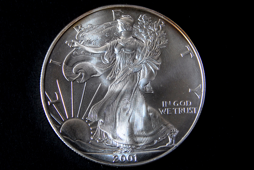 Set of Ten Silver American Eagle Dollar Coins